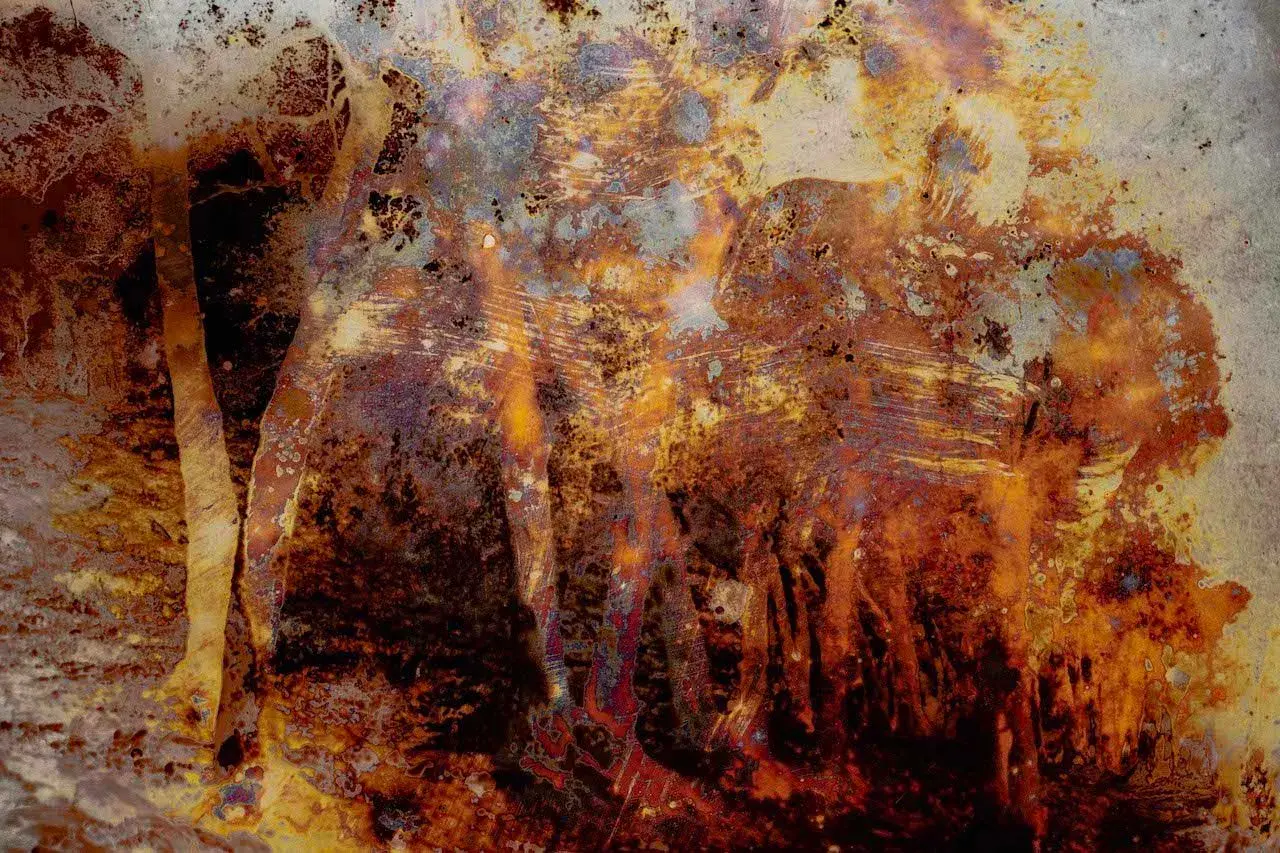 Un'opera di Joan Fontcuberta evoca un paesaggio minerale, quasi un'eruzione vulcanica di colori caldi e texture suggestive.