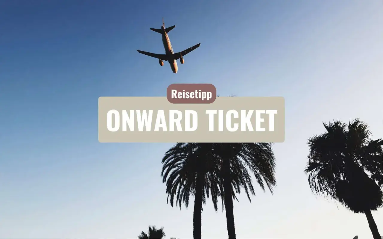 Flugzeug über Palmen, Reise-Tipp: Onward Ticket Erfahrungen für deine nächste Reise.
