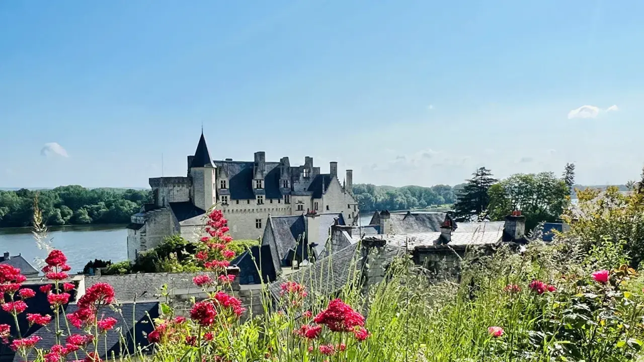 Vue d'un château sur une colline, avec des fleurs rouges au premier plan. Une belle journée pour une visite à Saumur.