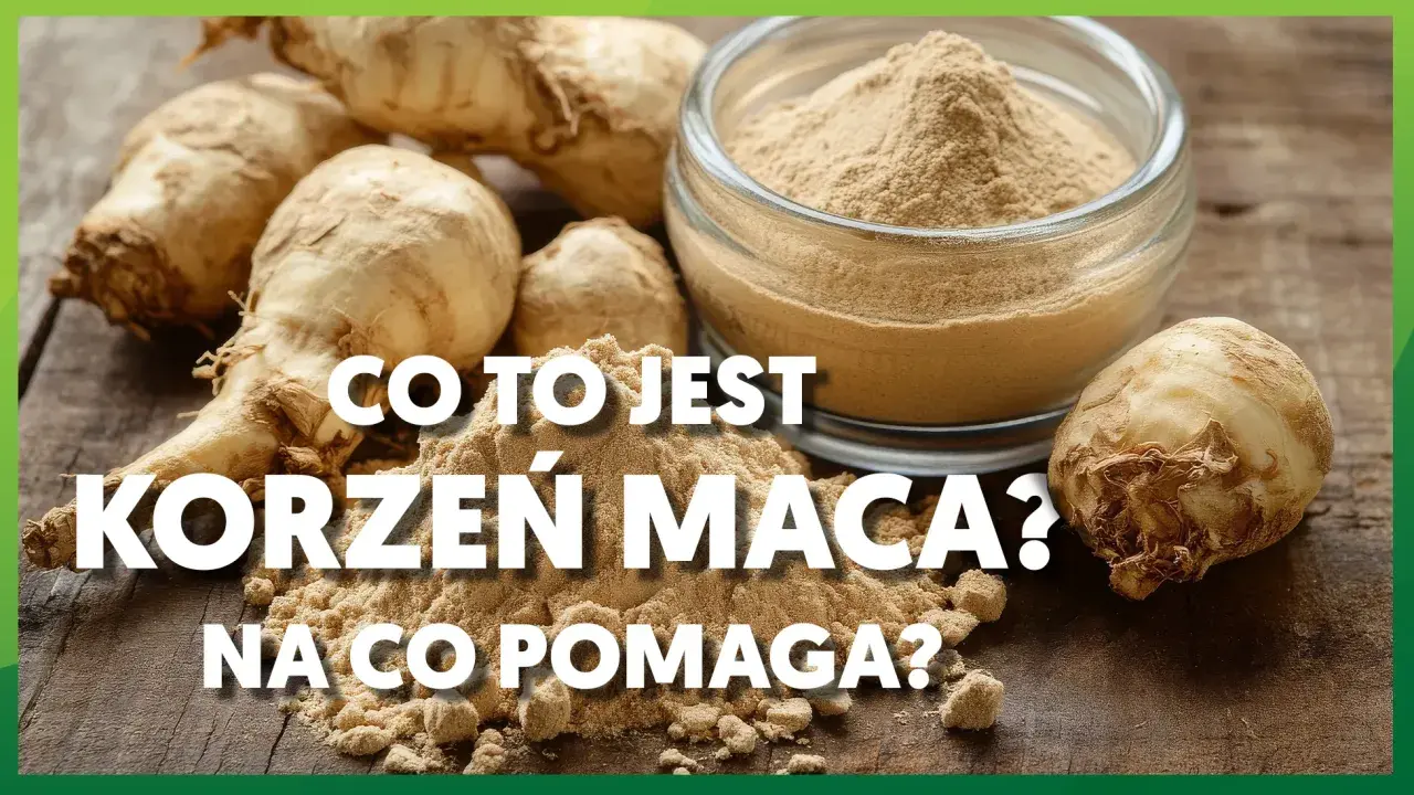 Korzeń maca i jego proszek na drewnianym blacie. Dowiedz się, co to jest korzeń maca i na co pomaga.