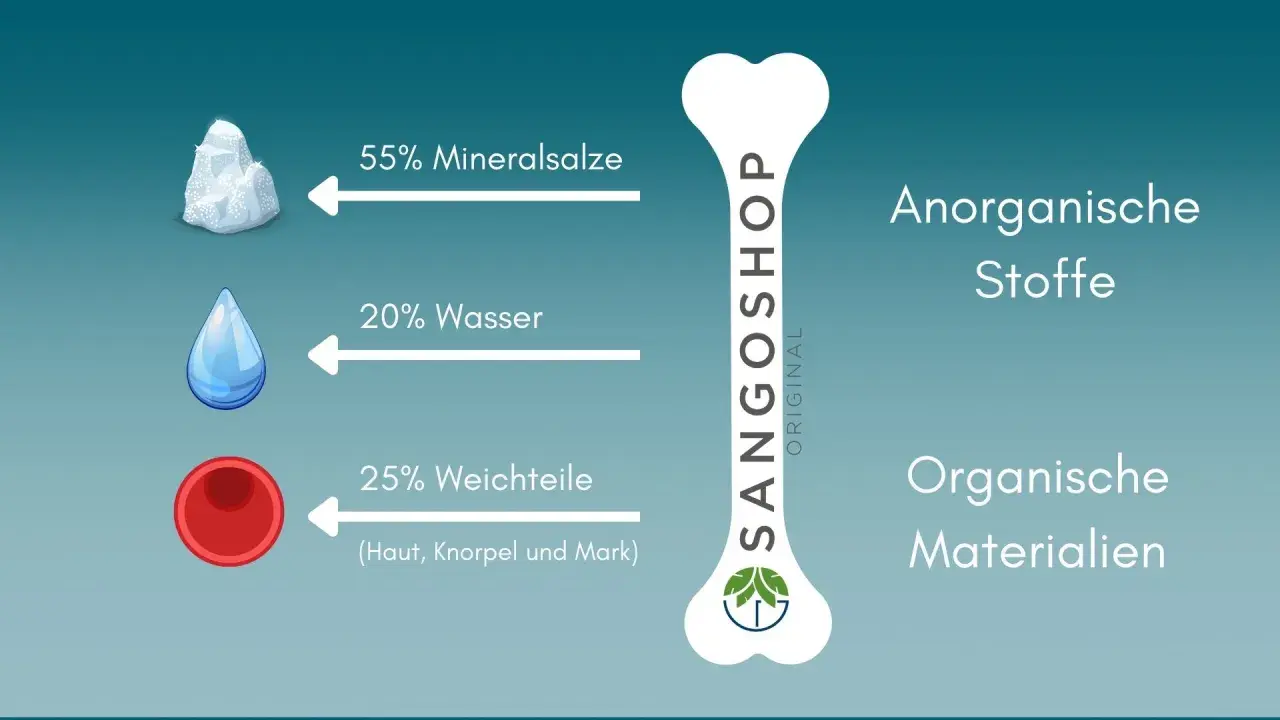 Grafik zeigt Zusammensetzung des menschlichen Knochens: 55% Mineralsalze, 20% Wasser, 25% Weichteile. Wichtig für den Knochenaufbau Mensch.