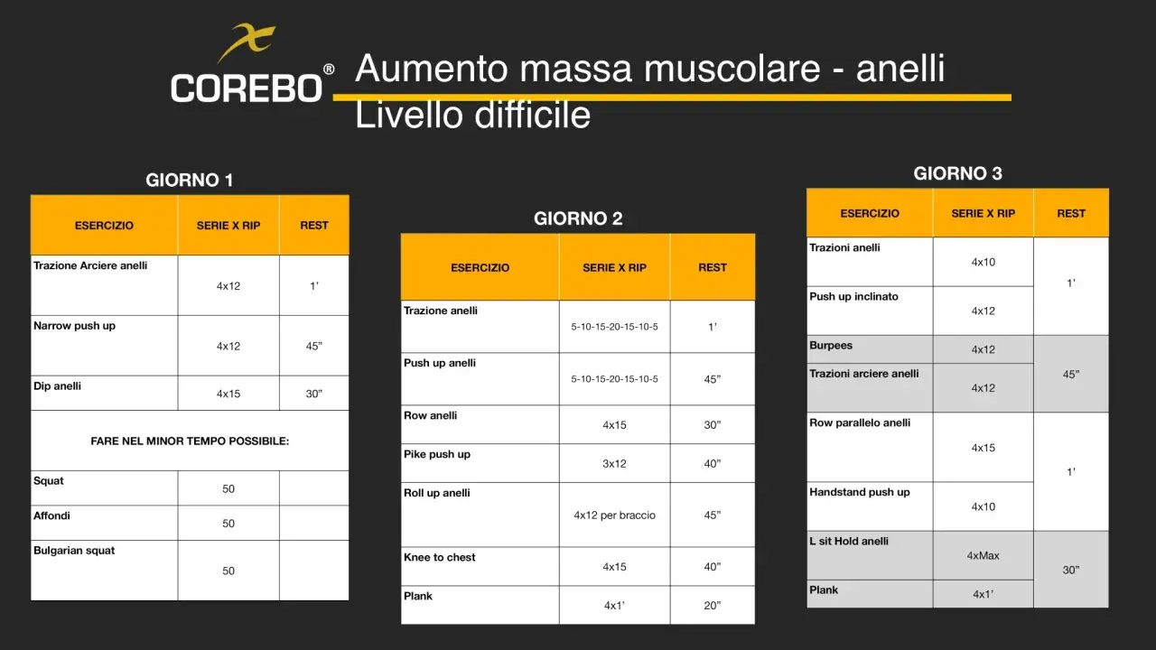 Programma di allenamento full body per aumento massa muscolare con anelli, livello difficile. Tre giorni di esercizi intensi.