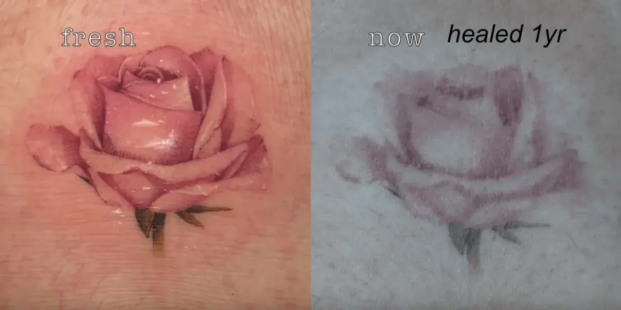 Rosa de microrealismo tattoo antes y después. La imagen muestra la misma rosa, primero recién hecha y luego curada tras un año, con una sutil pérdida de color.