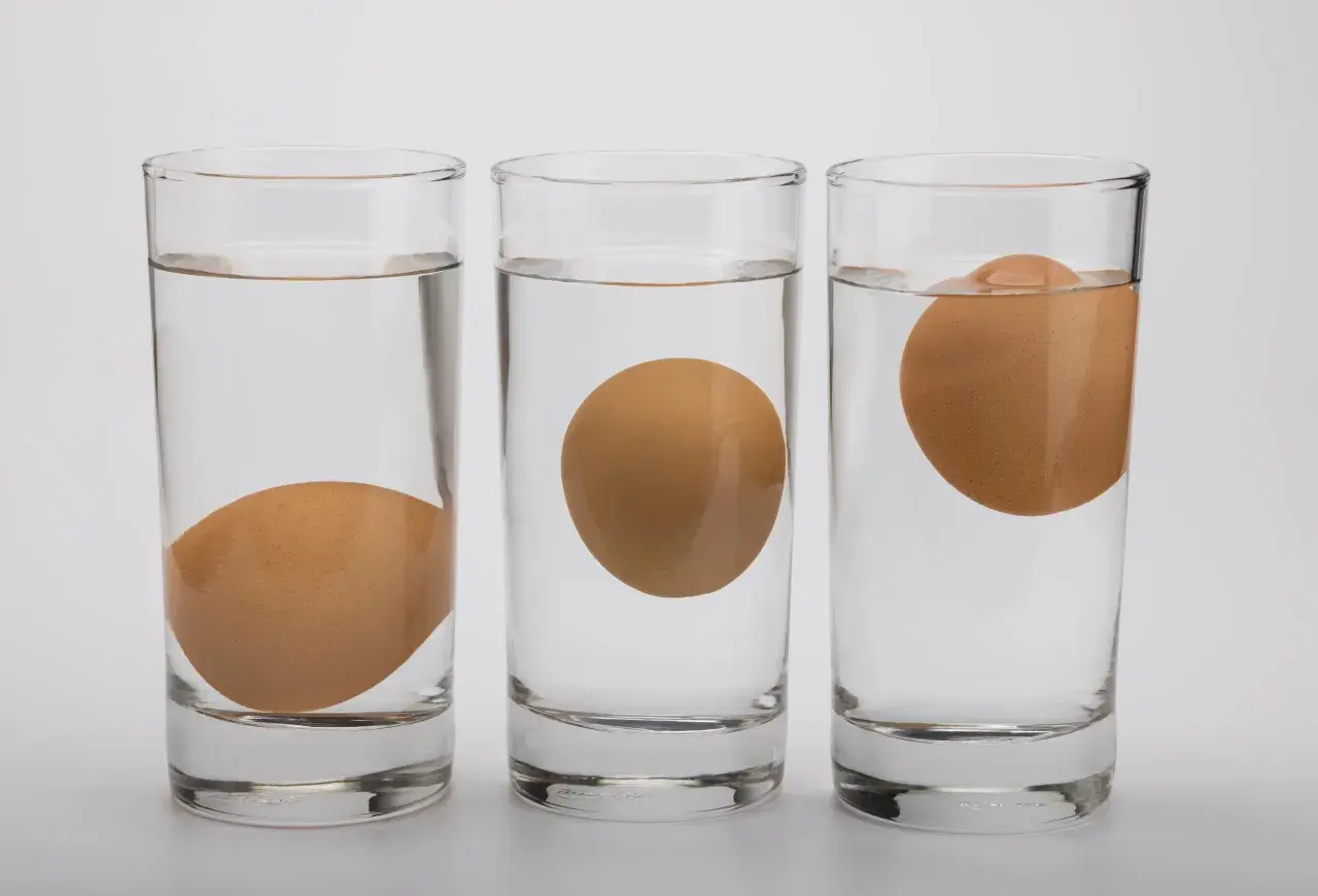 Trois verres d'eau montrent un œuf qui flotte à différents niveaux. L'œuf coule dans le premier verre, flotte au milieu et est presque entièrement hors de l'eau dans le troisième.