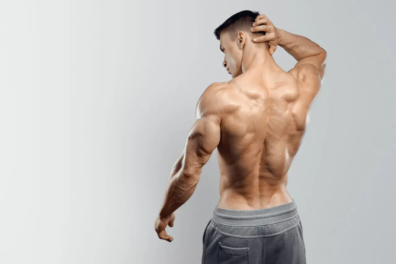 Uomo con muscoli spalle e schiena scolpiti, posa di profilo con mano dietro la nuca.