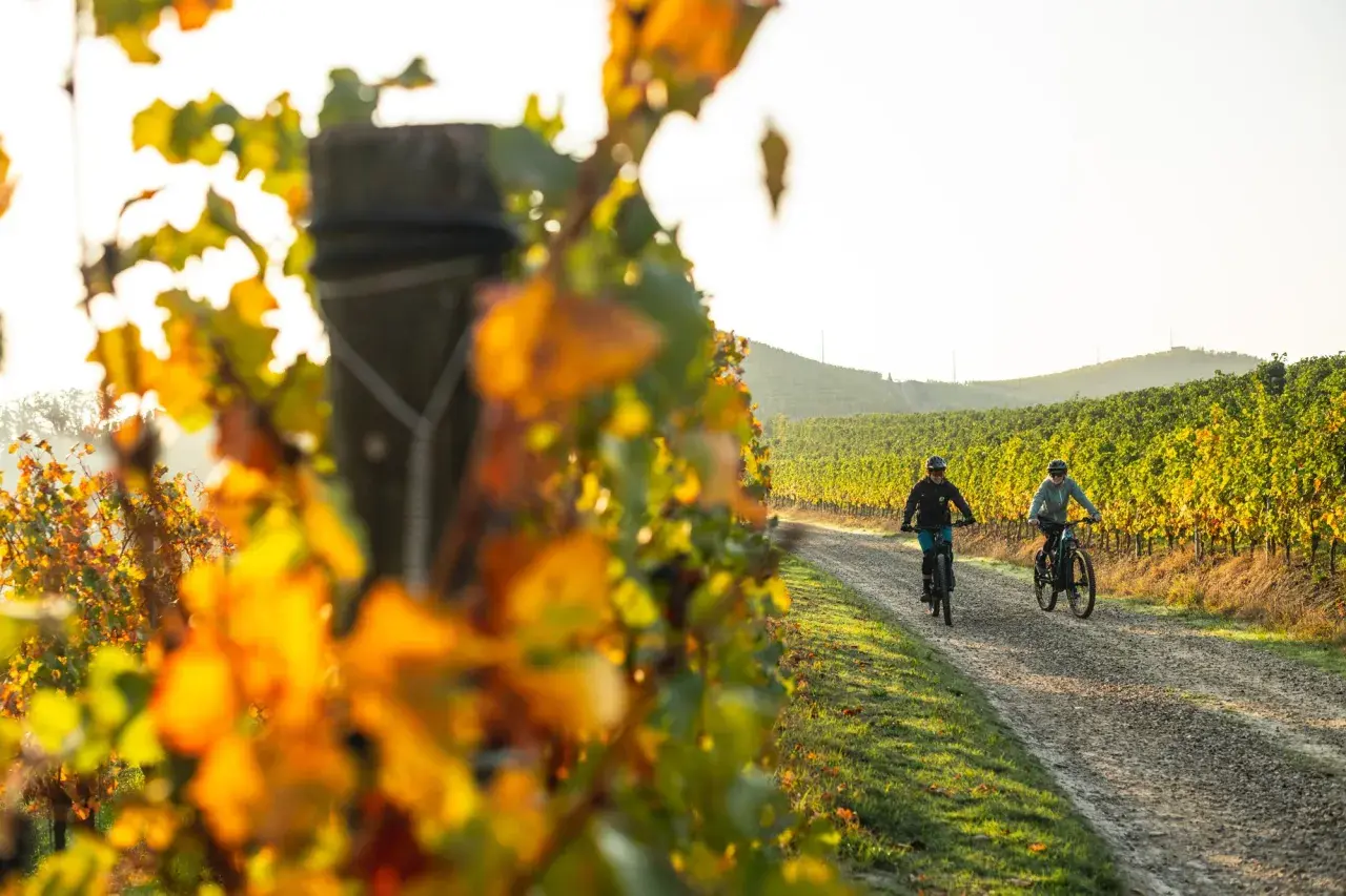 Due ciclisti pedalano su un sentiero sterrato tra i vigneti nelle Langhe, con le foglie autunnali che creano un vibrante contrasto.