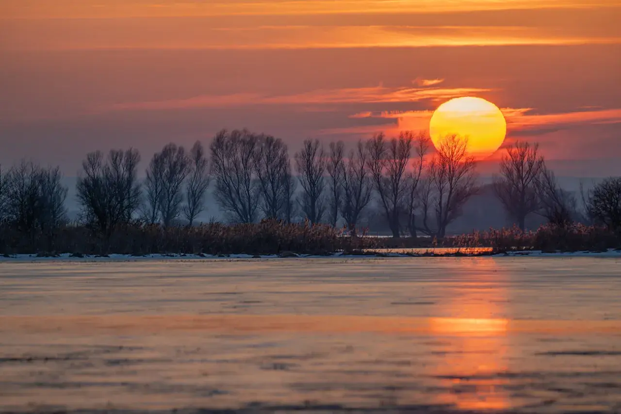 Zachód słońca nad zamarzniętym jeziorem. fotografia krajobrazowa z nagimi drzewami i trzcinami na brzegu.