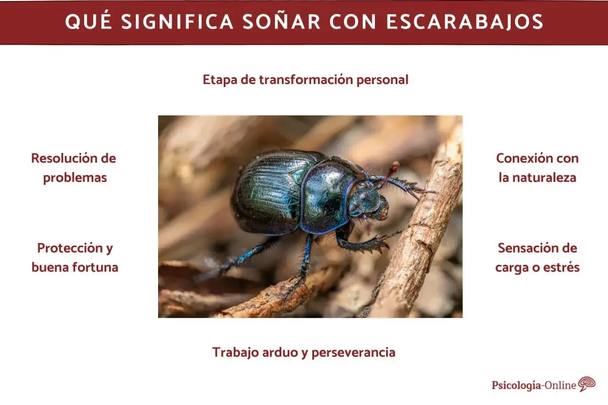 Un escarabajo brillante, símbolo de transformación y perseverancia. Soñar con escarabajos puede indicar resolución de problemas, protección o estrés.