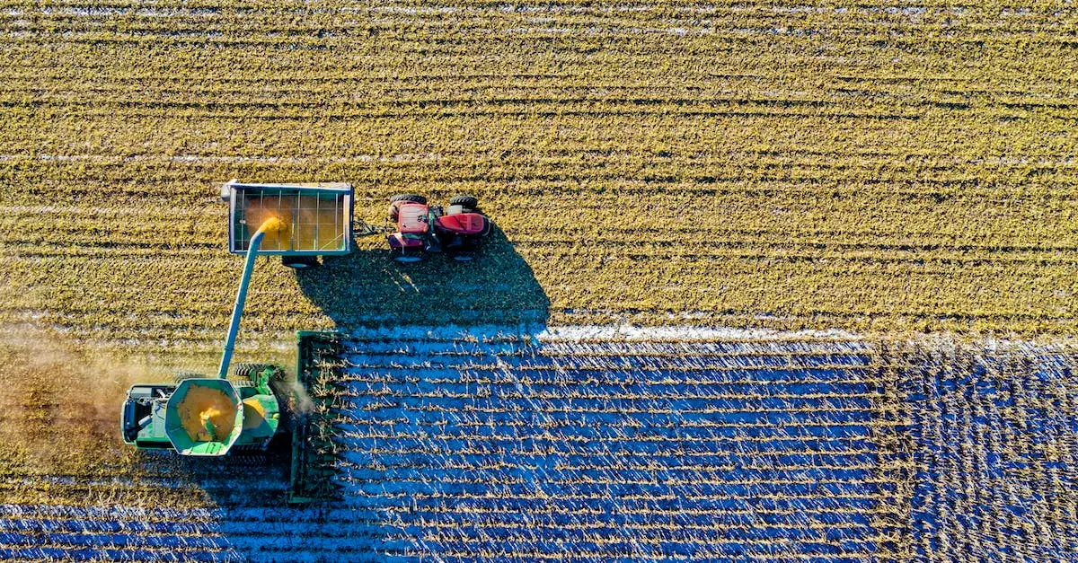  1ha to 10000m2! Ile metrów ma 1 ar? Jak przeliczyć ary na m2 i hektary?