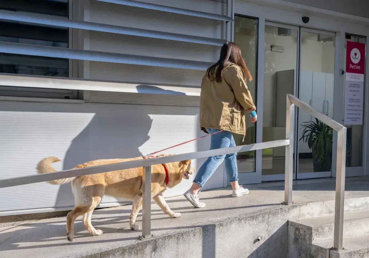 Frau mit Hund betritt Tierarztpraxis. Eine Tabelle mit tierarztkosten hund ist vielleicht im Inneren zu finden.