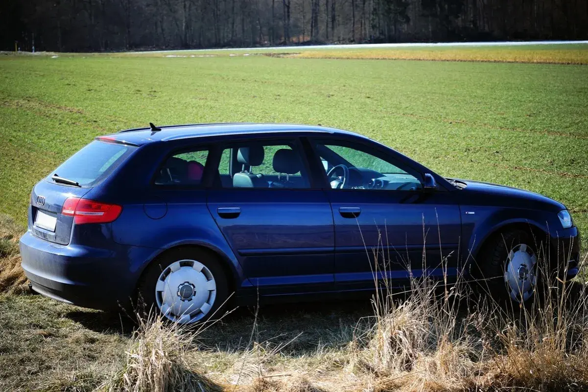 Niebieski Audi A3 8P Sportback zaparkowany na trawiastym polu, z lasem w tle.