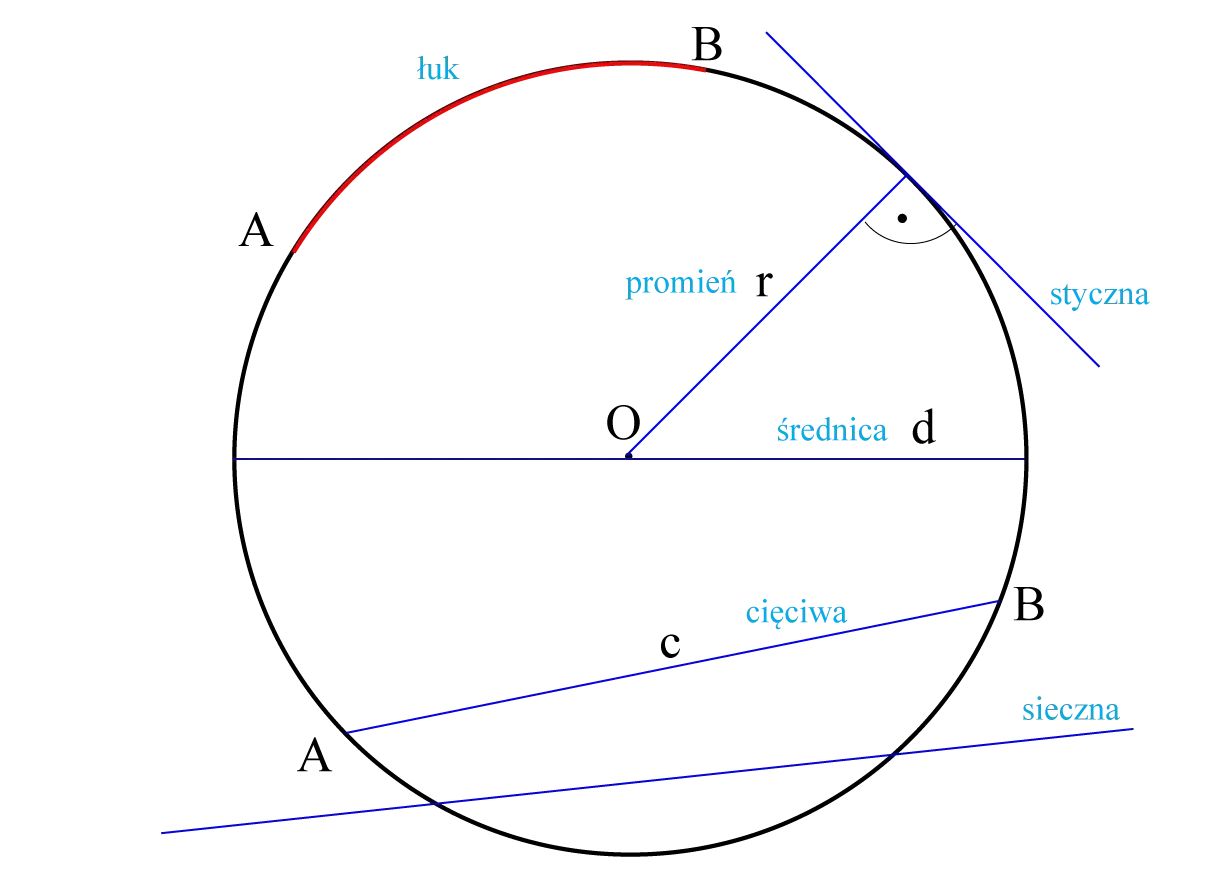 Łuk, promień, styczna, średnica, cięciwa i sieczna to elementy geometryczne związane z polem okręgu.