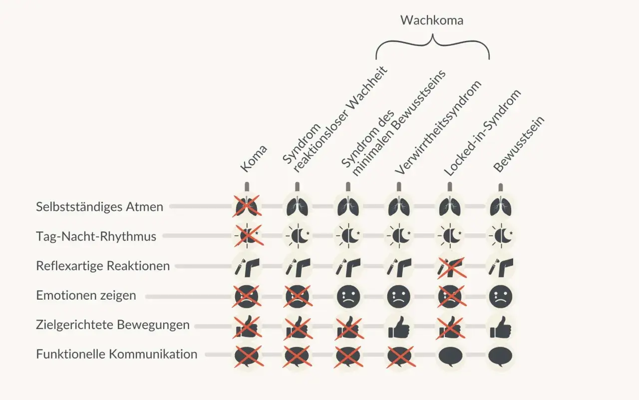 Schema zeigt verschiedene Stadien des Wachkoma, von Koma bis Bewusstsein, und deren Einfluss auf Funktionen wie Atmung und Kommunikation. Es illustriert den wachkoma sterbeprozess.