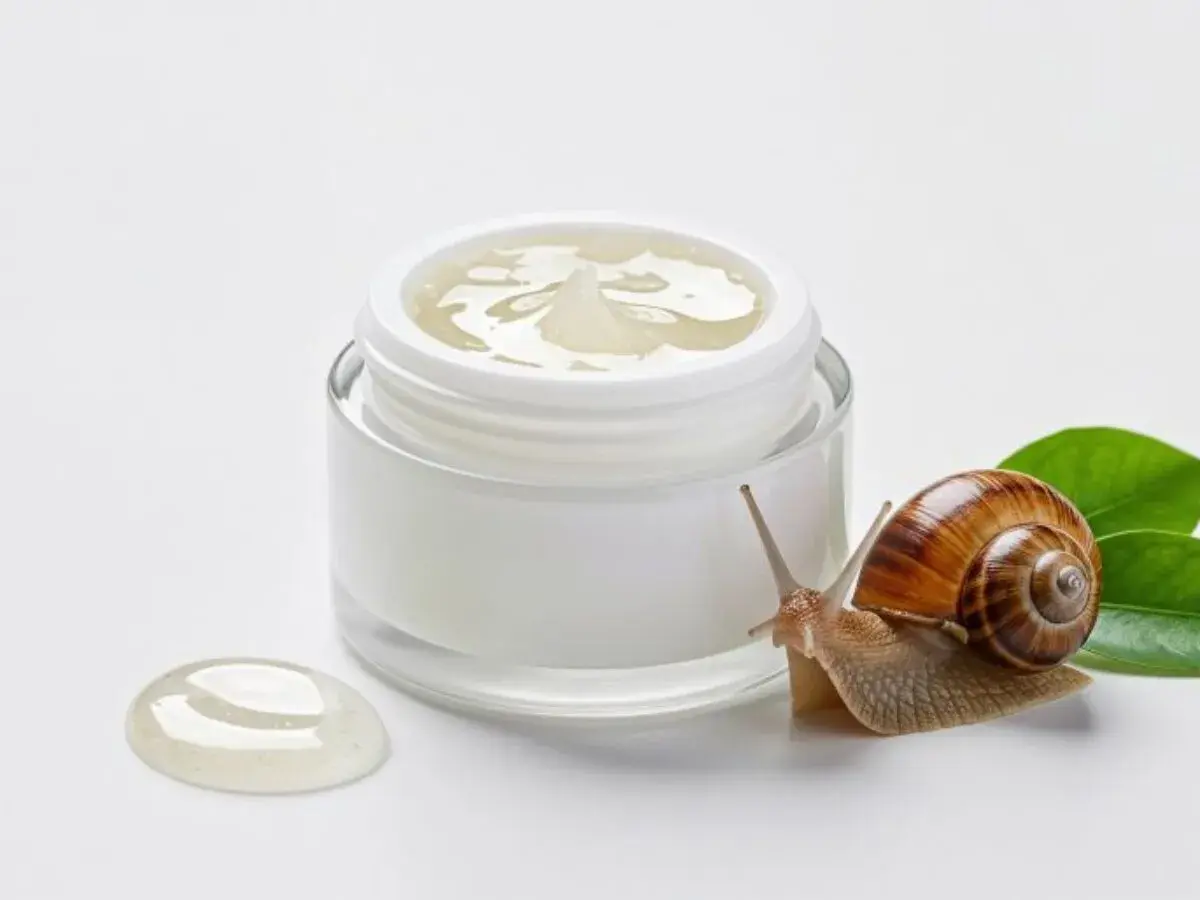 Ślimak obok słoiczka z kremem, symbolizującym naturalne składniki snailmed.