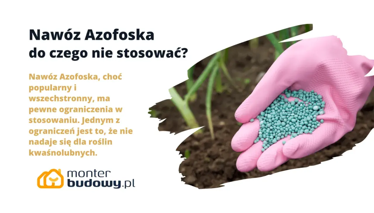 Różowa rękawica trzyma granulat nawozu Azofoska. Dowiedz się, do czego nie stosować tego popularnego nawozu, szczególnie przy roślinach kwasolubnych.
