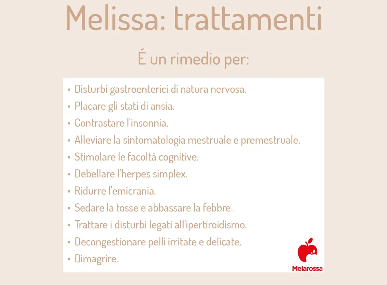 Melissa: trattamenti per disturbi nervosi, ansia, insonnia, emicrania e altro. Le sue proprietà la rendono un valido aiuto.