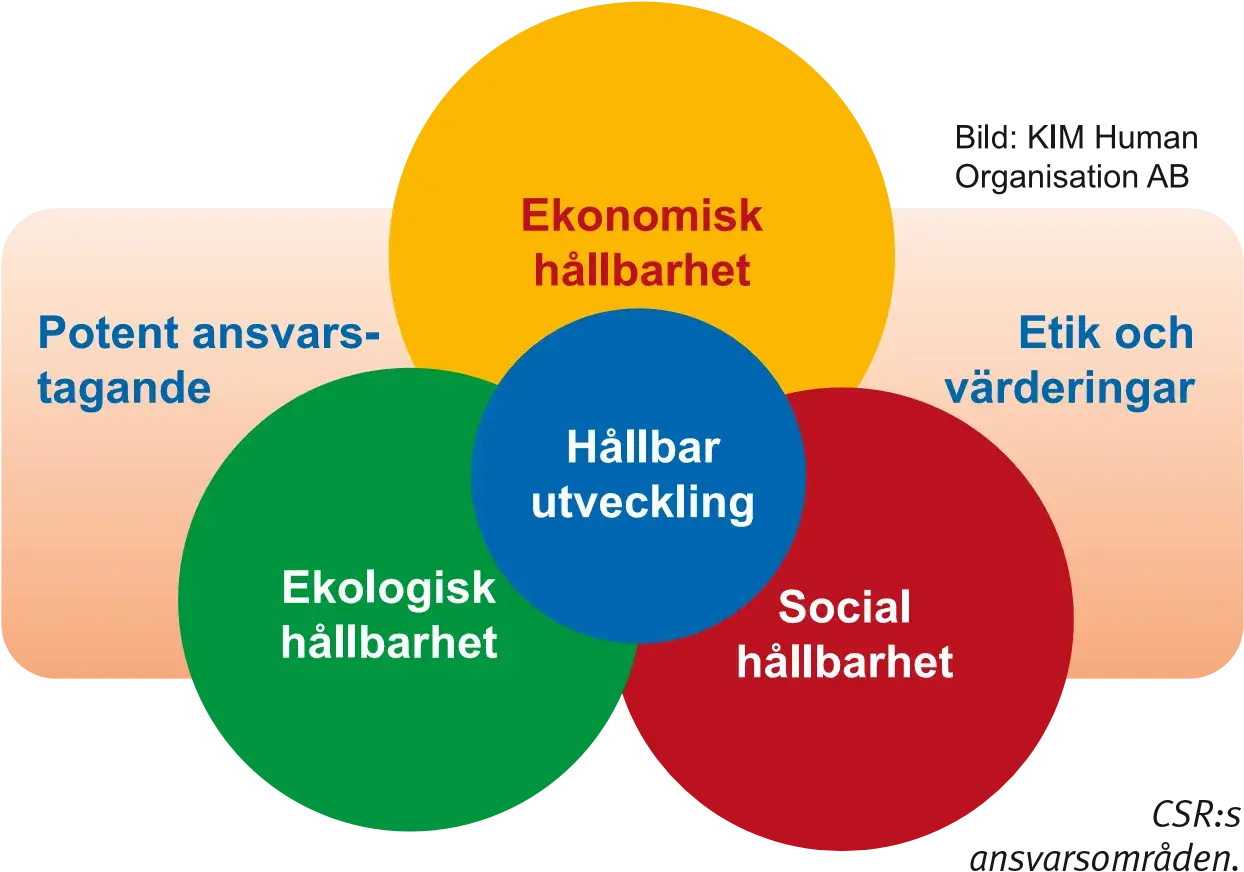 Diagram som visar att hållbar utveckling bygger på ekonomisk, ekologisk och social hållbarhet, samt etik och värderingar.