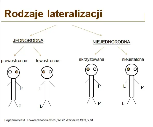 Zaburzenia lateralizacji objawy – jak rozpoznać i wpłynąć na codzienne życie?