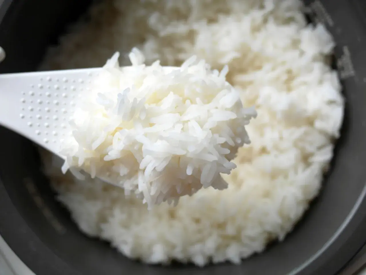 Fluffy white rice being scooped from a rice cooker. Perfect for learning how to pack rice for lunch.