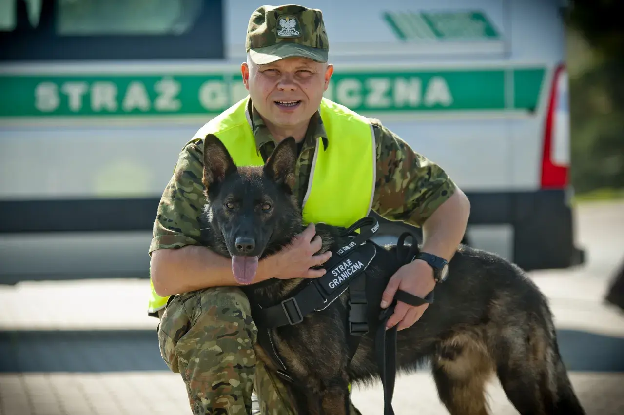 Funkcjonariusz Straży Granicznej z psem, który pomaga w pracy. Psy pracujące to wierni towarzysze na służbie.