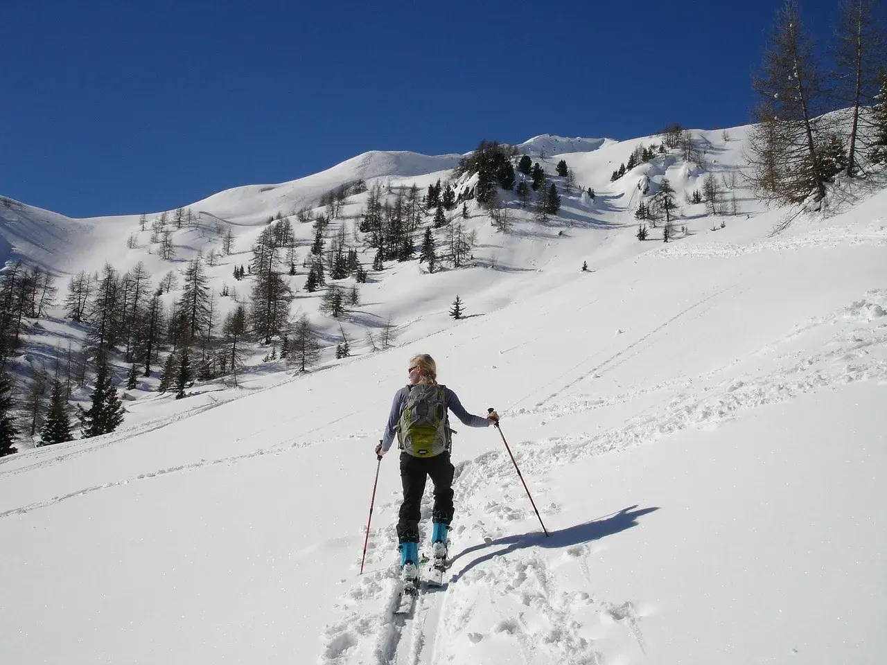 Sciatrice con zaino e bastoncini, in un paesaggio innevato con alberi radi e montagne sullo sfondo. La **forca canapine** è il suo obiettivo.