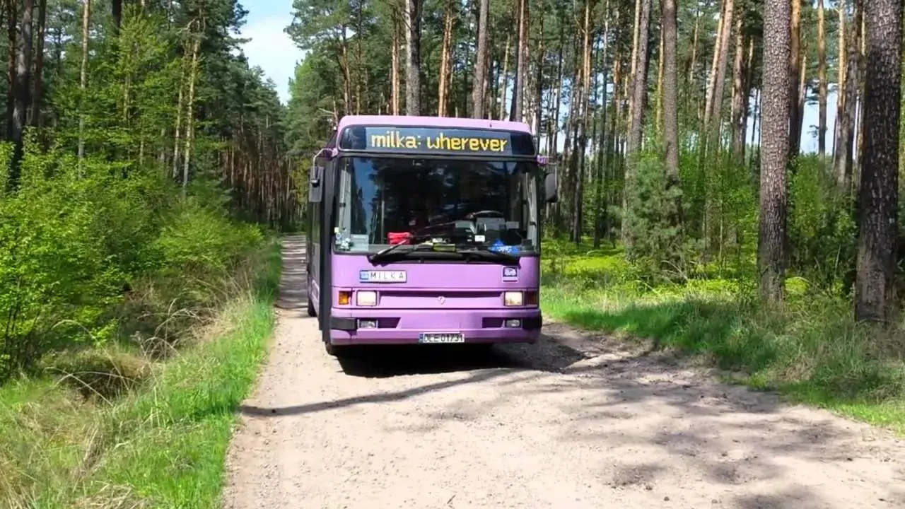 Jak oznakować holowane auto? Uniknij mandatu i jedź bezpiecznie!