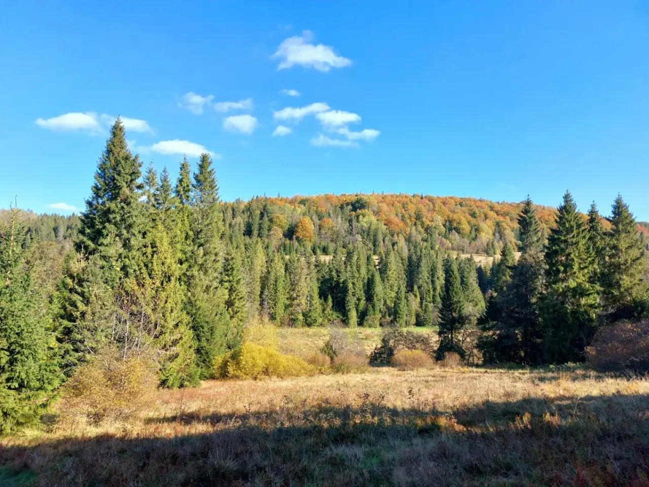 Jesienne barwy lasów i łąk w Bukowcu, Bieszczady. Idealne miejsce na piesze wędrówki i podziwianie przyrody.