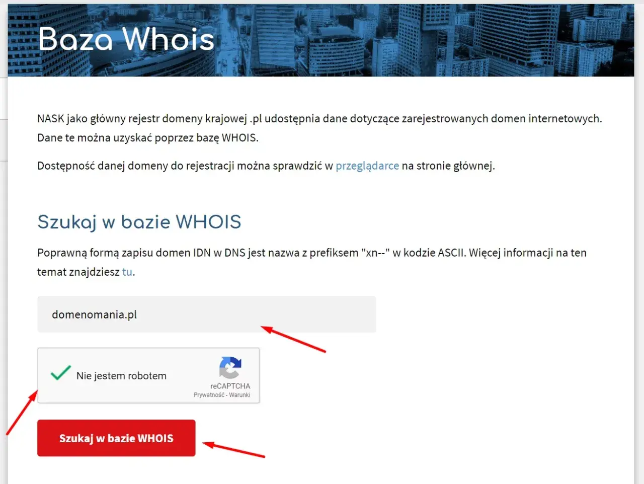 Kto jest właścicielem strony internetowej? Odkryj prawdę i uniknij oszustw