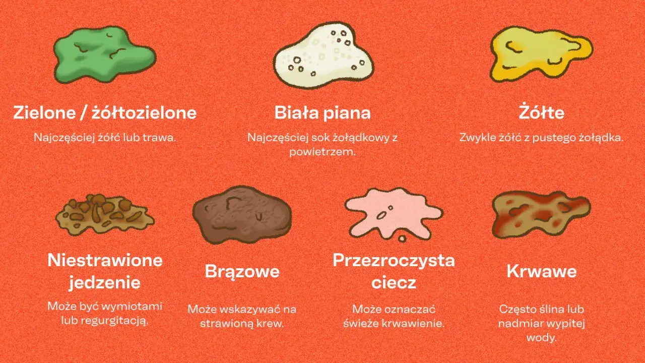 Niestrawione jedzenie w psich wymiocinach może oznaczać problemy z trawieniem.