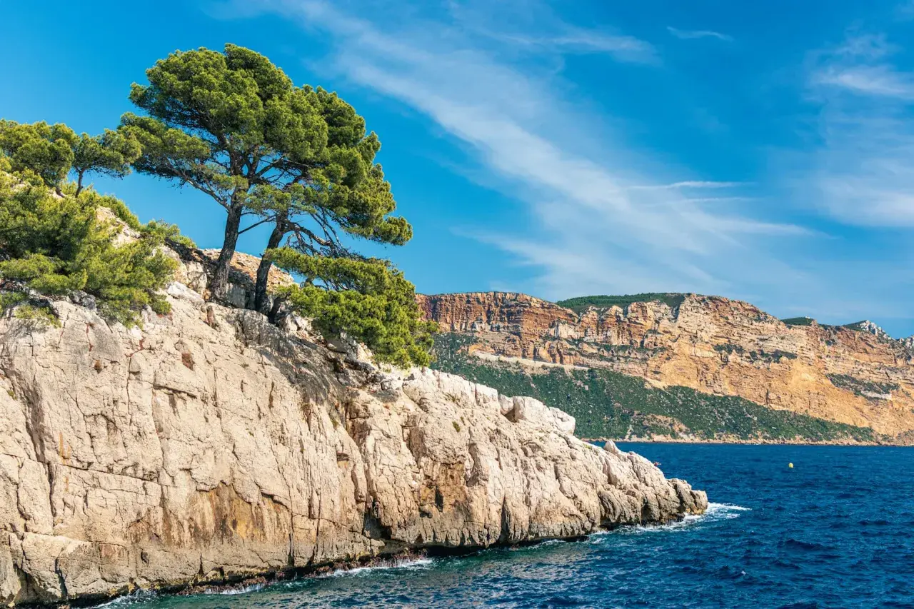 Skaliste wybrzeże z sosnami, błękitne morze i majestatyczne calanques w oddali.