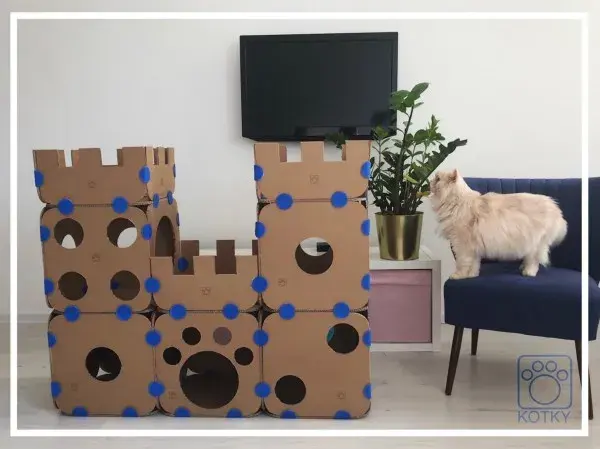 Domek dla kota z kartonu: Stwórz azyl, który pokocha Twój kot!