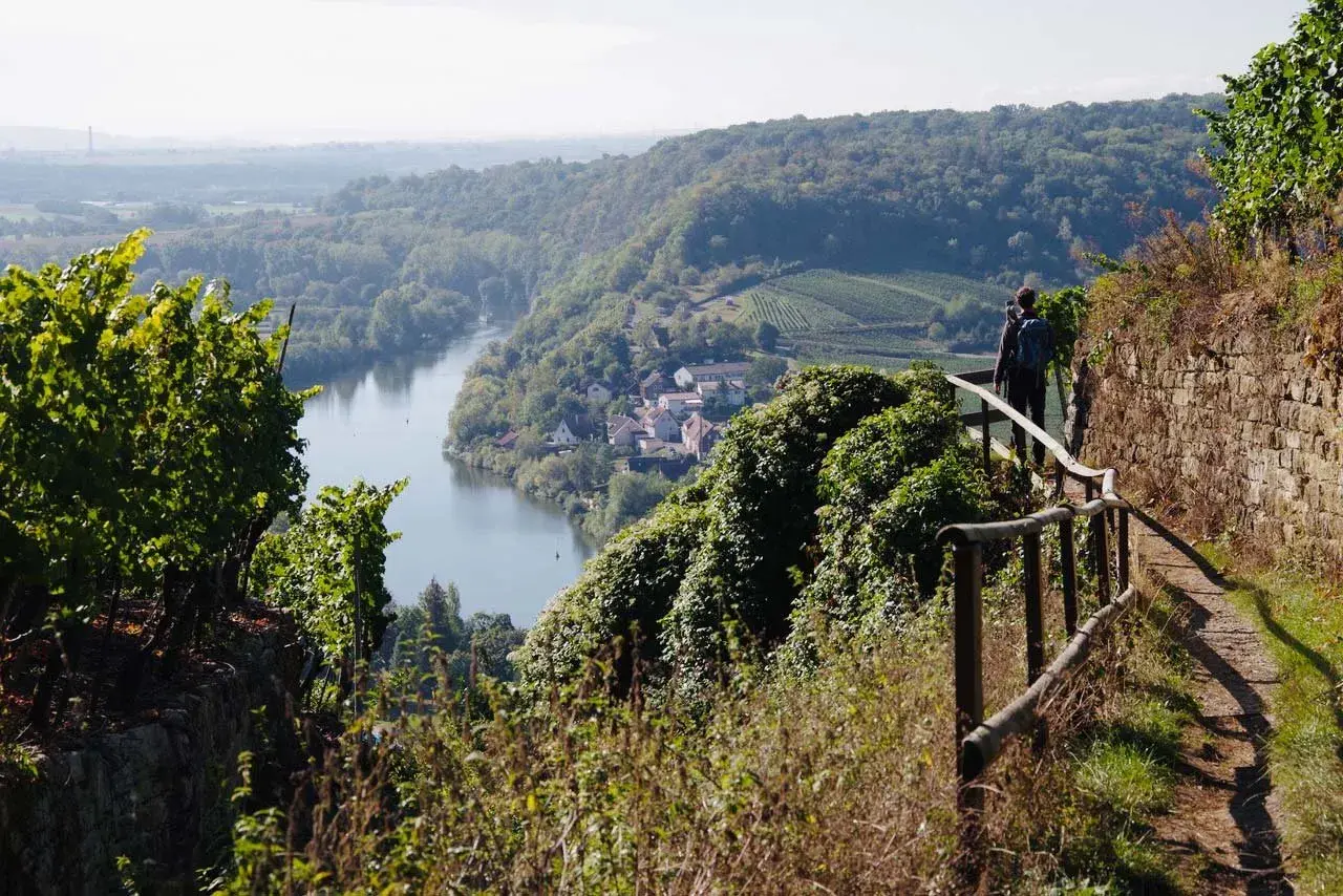 Wanderer auf einem Pfad mit Blick auf ein Dorf und einen Fluss, umgeben von Weinbergen. Ein schöner Ort zum Wandern, Ludwigsburg.