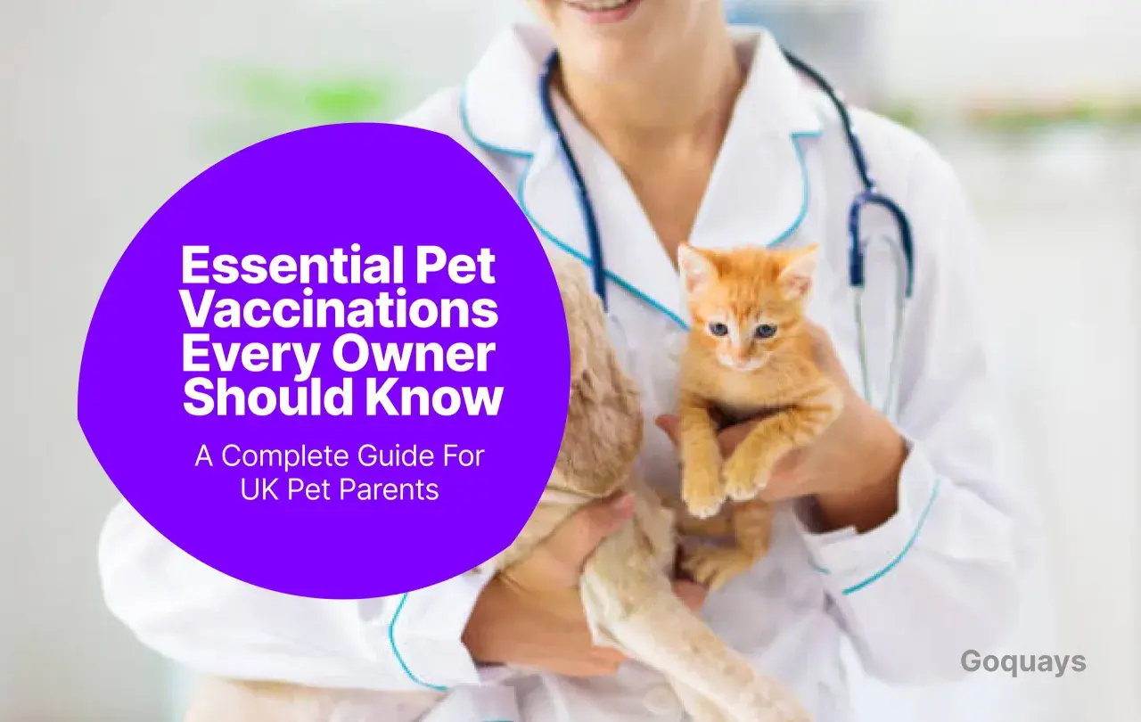 A veterinarian holds a kitten, discussing essential veterinary vaccines for pet parents.
