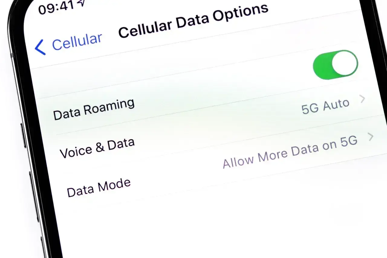 Ustawienia telefonu: "Data Roaming" jest włączone, co oznacza, że roaming włącza się automatycznie. Widoczne opcje 5G.