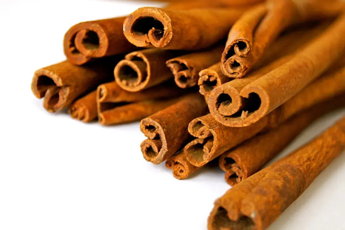 Canela en rama, un tesoro aromático con grandes beneficios de la canela para la salud.