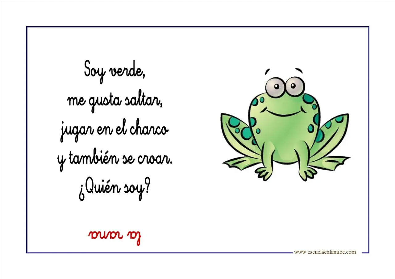 Adivinanzas de animales: Soy verde, me gusta saltar, jugar en el charco y croar. ¿Quién soy? ¡La rana!