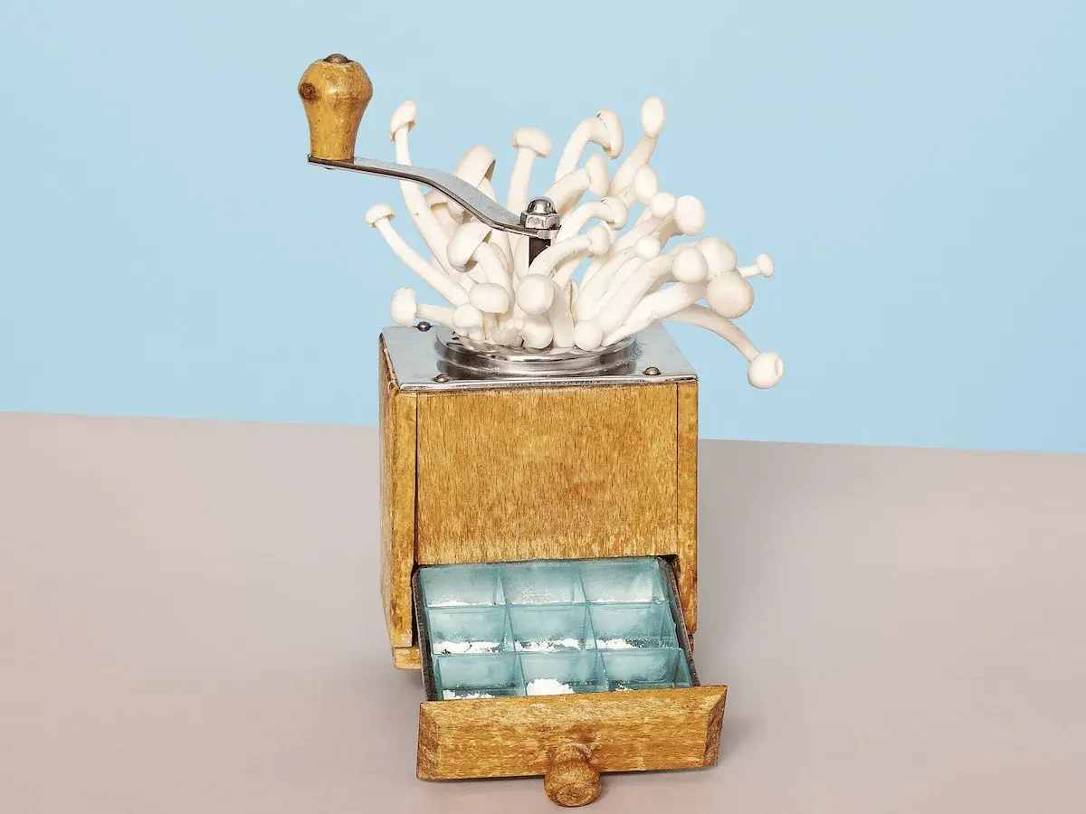 Een oude koffiemolen met paddenstoelen, die de essentie van wat is microdosing illustreert: kleine, gecontroleerde doses voor een subtiel effect.