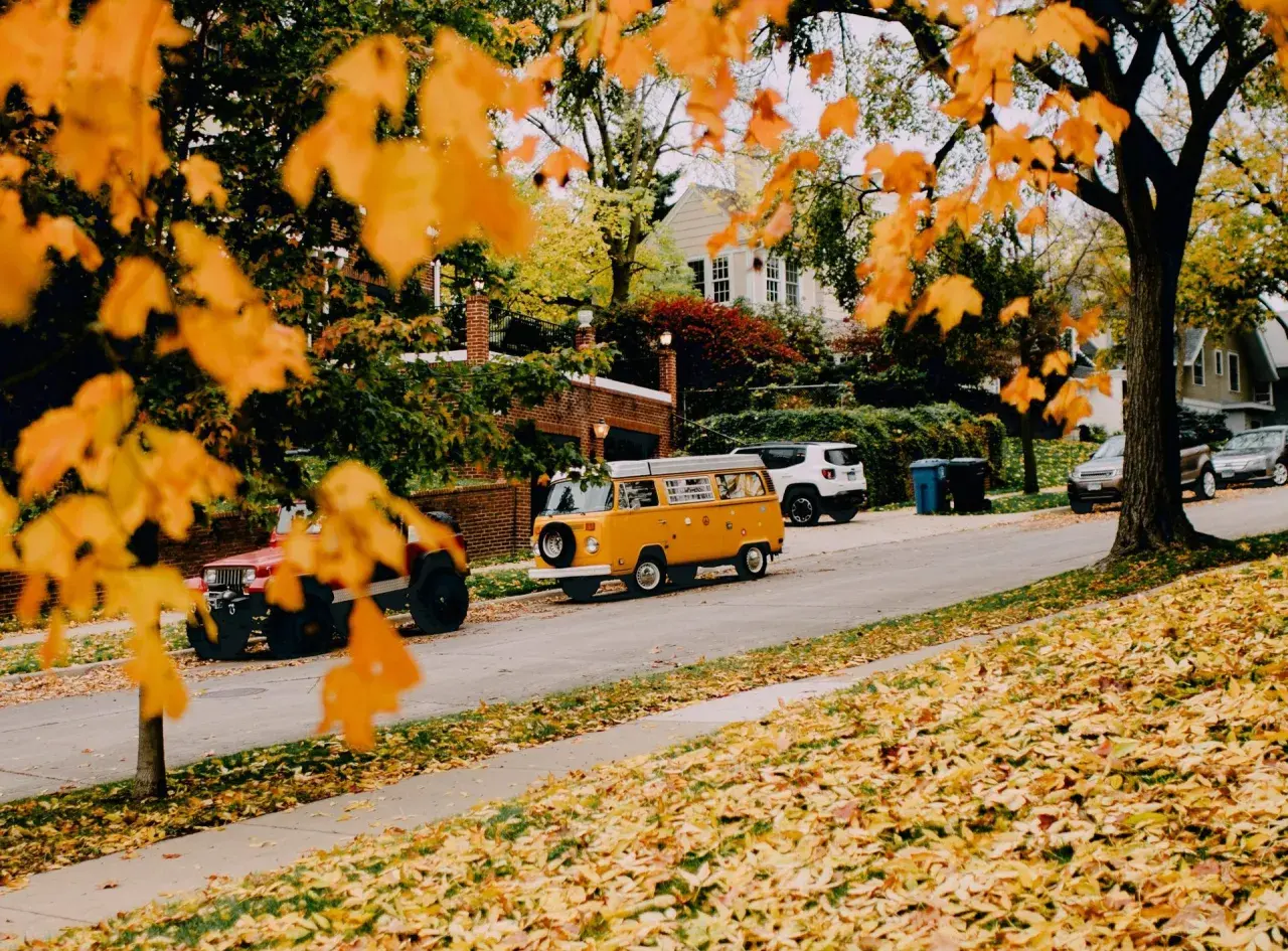 Herbstliche Reiseziele in Europa mit dem Auto: Ein gelber VW-Bus und ein Jeep parken auf einer Straße, gesäumt von bunten Herbstblättern.