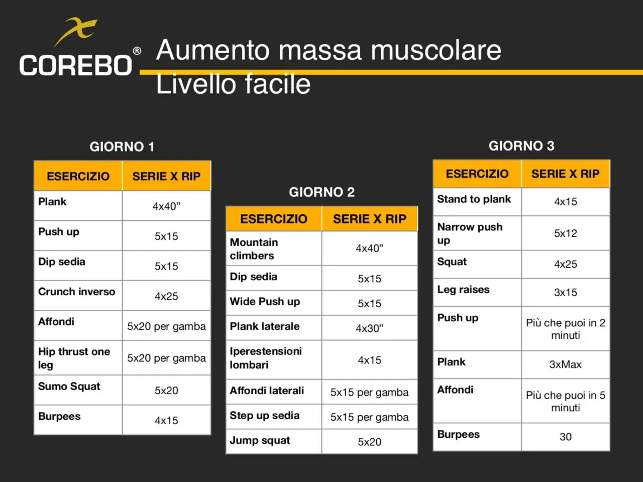 Programma di allenamento a casa per aumentare la massa muscolare, livello facile. Giorni 1, 2 e 3 con esercizi e serie.