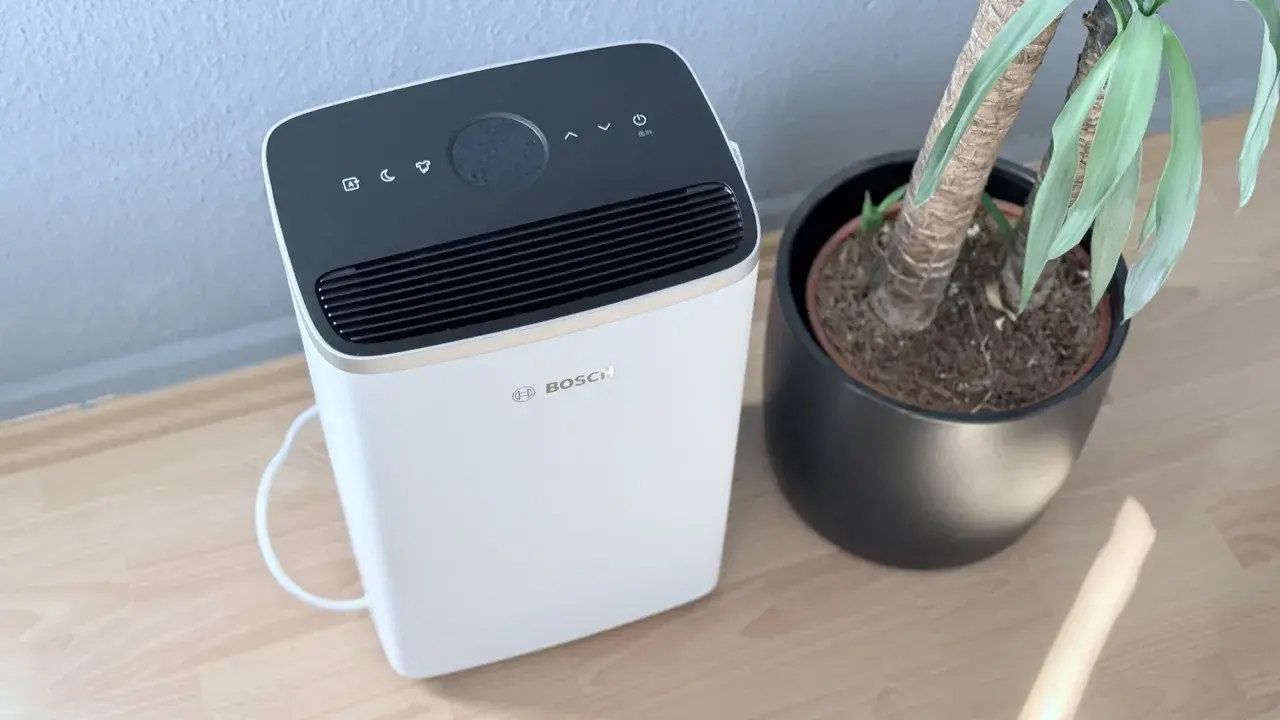 Bosch Dry 4000 Luftentfeuchter neben einer Topfpflanze auf Holzboden.