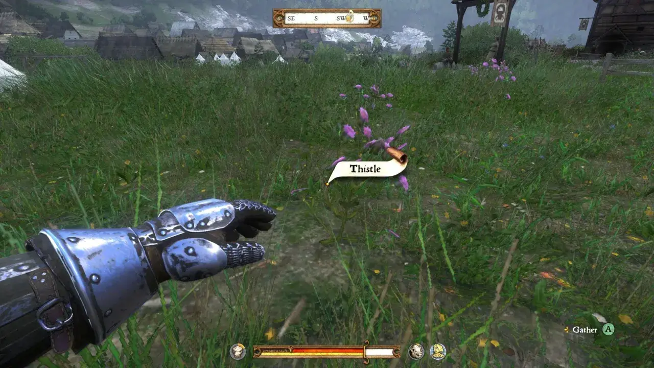 W grze Kingdom Come: Deliverance, zbieranie ostów to podstawa poradników do gier. Postać w zbroi zbliża się do fioletowych kwiatów.