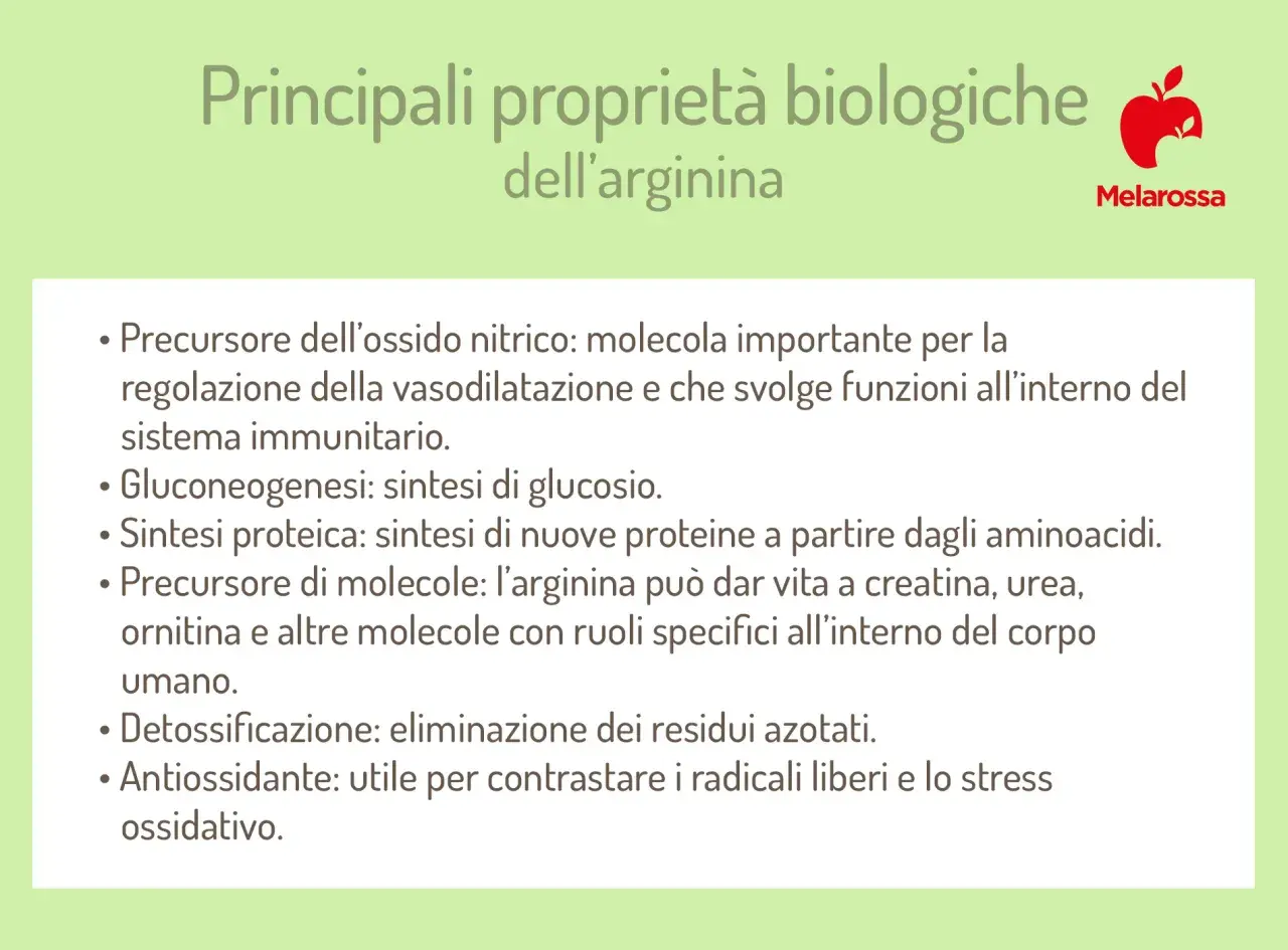 Principali proprietà biologiche dell'arginina: precursore ossido nitrico, sintesi proteica, detossificazione. Quando assumerla? Utile per contrastare stress ossidativo.