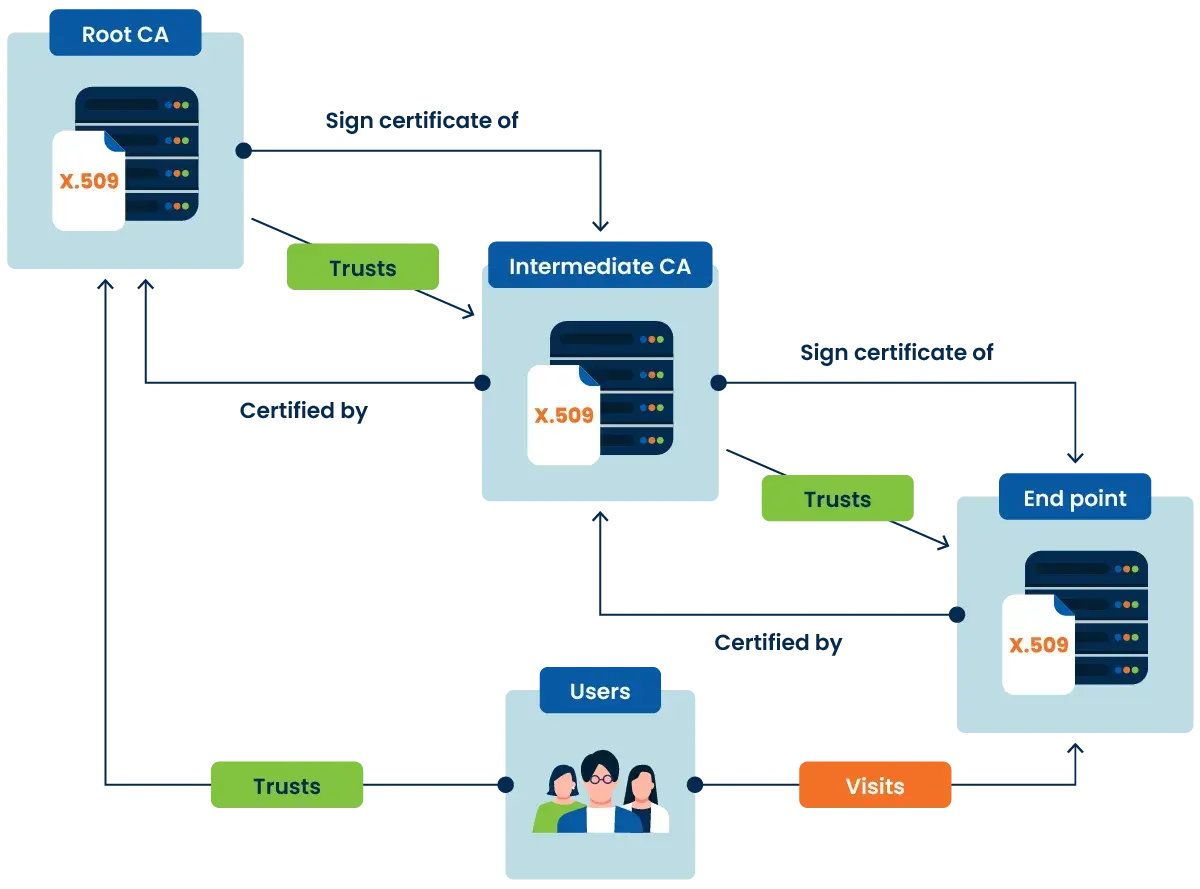 Diagrama de cadena de confianza: Root CA certifica Intermediate CA, que a su vez certifica End point. Usuarios confían en End point.