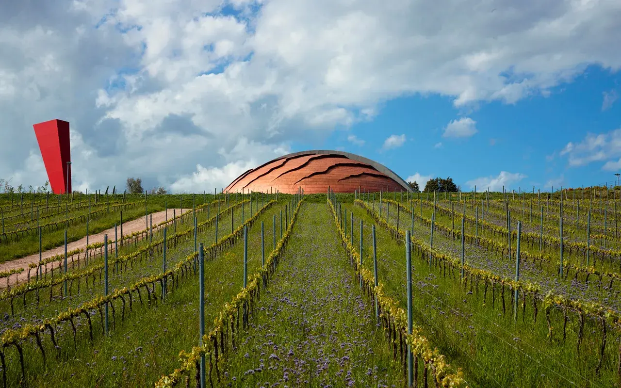 Vigneti in pendenza sotto un cielo nuvoloso, con un edificio a forma di cupola che ricorda il carapace di un animale e un obelisco rosso.