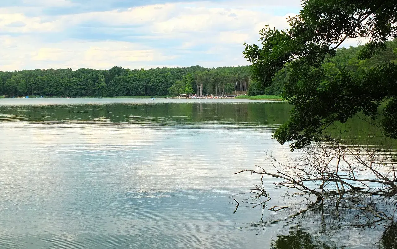 Spokojne mirim jeziora odbija zielony las i niebo. Na brzegu plaża z ludźmi i drzewa.