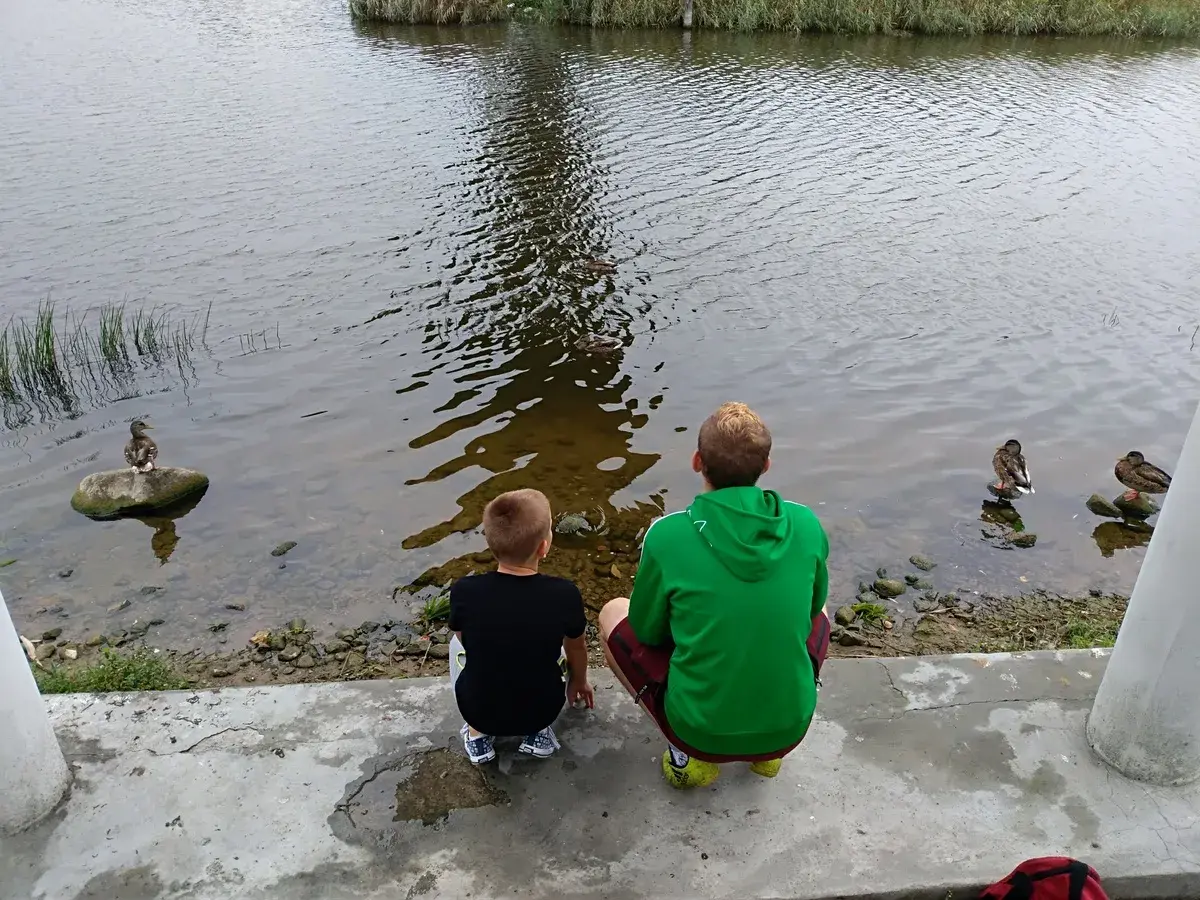 Dwóch chłopców obserwuje kaczki na brzegu jeziora Kisajno.