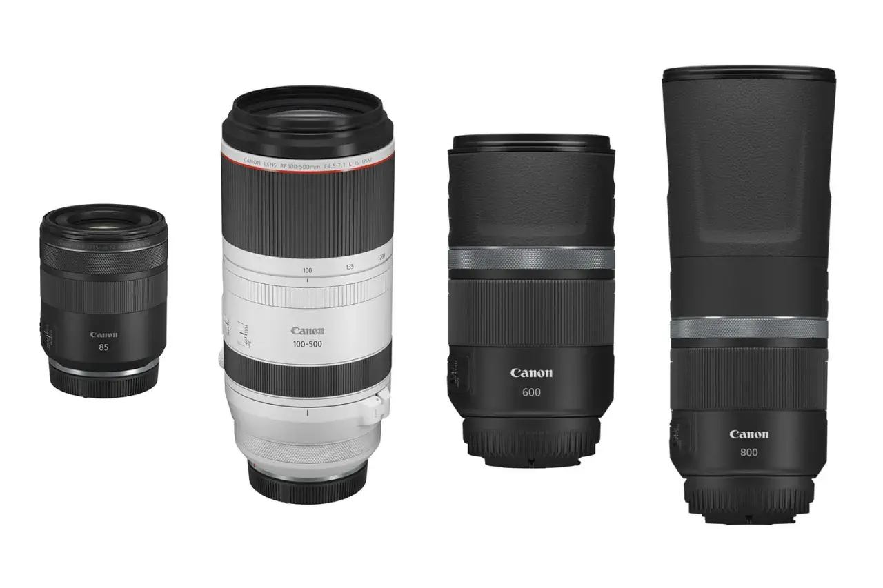 Cztery obiektywy Canon: 85mm, 100-500mm, 600mm i 800mm. Zestaw do fotografii tele, gdzie każdy obiektyw działa jak telekonwerter, przybliżając odległe obiekty.