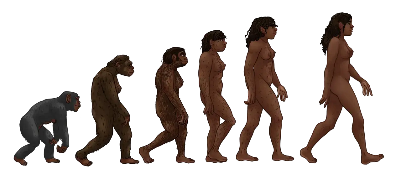 Ewolucja człowieka od małpy do współczesnego człowieka, ilustrująca proces dobór naturalny.