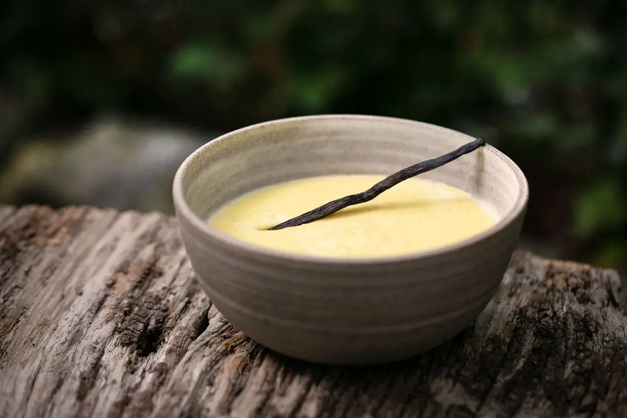 Schüssel mit cremigem Vanillepudding, garniert mit einer Vanilleschote. Perfekt, um Pudding selber machen zu lernen.