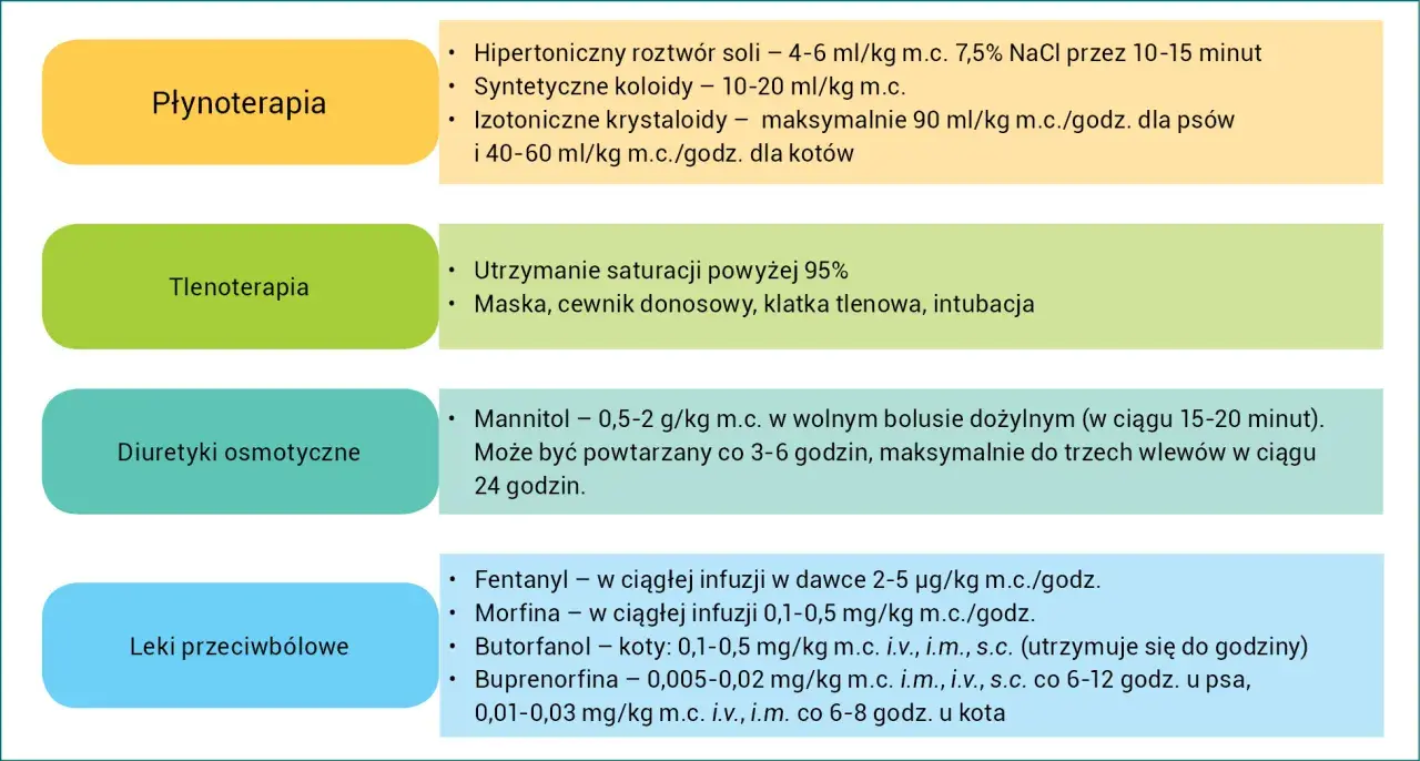 Diuretyki osmotyczne: mannitol 0,5-2 g/kg m.c. w bolusie dożylnym, powtarzany co 3-6 godzin.